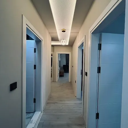 Royal Asalet - الأصالة الملكية *