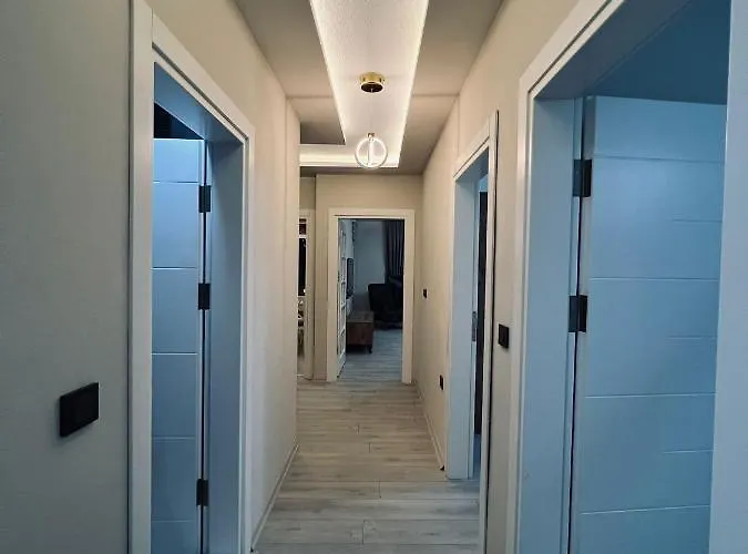 Royal Asalet - الأصالة الملكية *